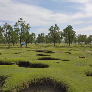 guliakhali sea beach natural view