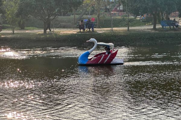 cafe 24 park swan boat riding