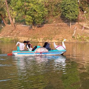 swan boat at cafe 24 park