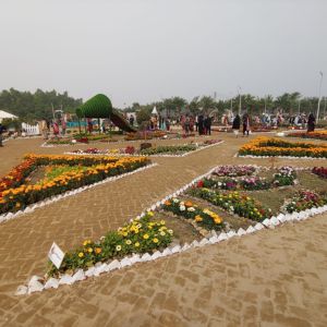 dc park flower fest inside view