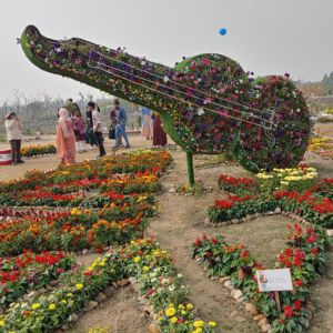 dc flower park view