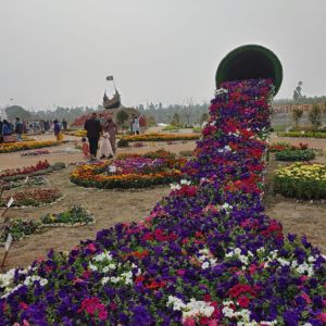 dc flower park inside scene