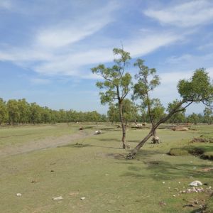 guliakhali beach scenery