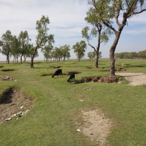 guliakhali sea beach view