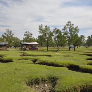 guliakhali beach view