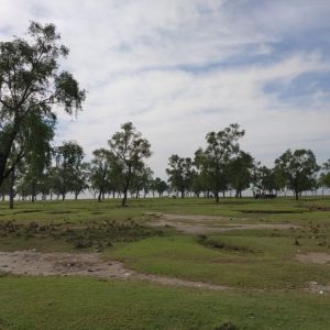 natural view on guliakhali sea beach