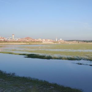 parki beach view