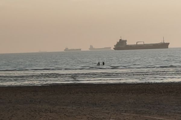 ships on the sea at parki beach