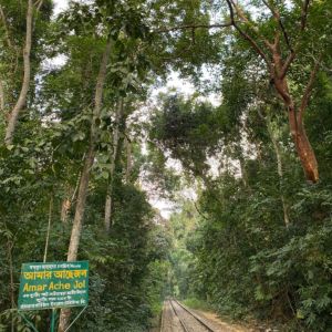 lawachara national park view