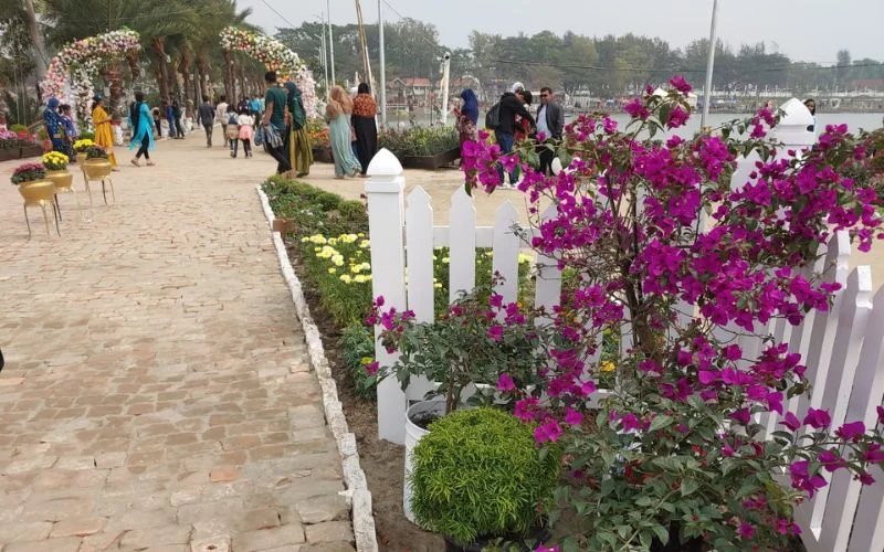 flowers at dc park chittagong