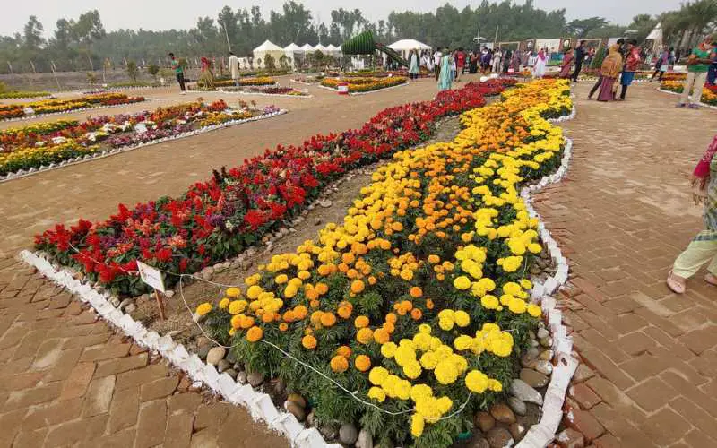 dc park chittagong natural flower view