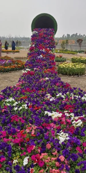 flower trees at dc park chittagong