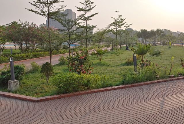 natural scene at park area