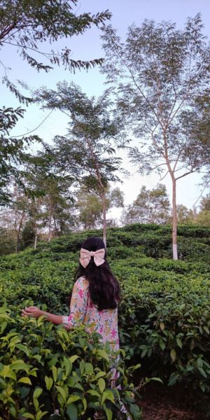 visitor at sreemangal tea garden