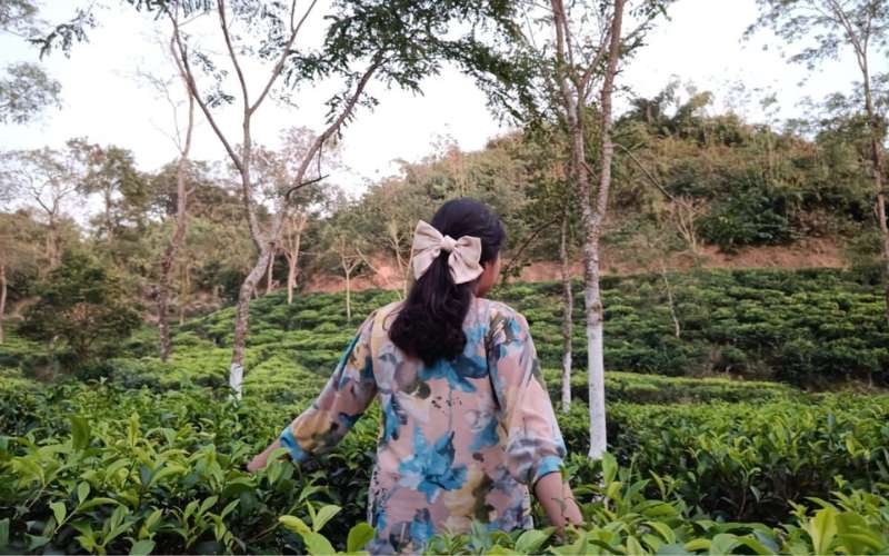 visitor at tea garden