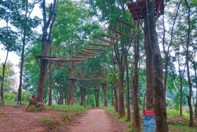 tree top ride at manikchari dc park