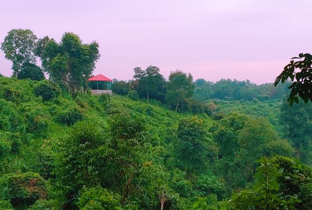 manikchari dc park natural view