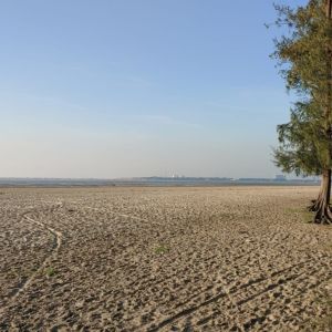 natural view at parki