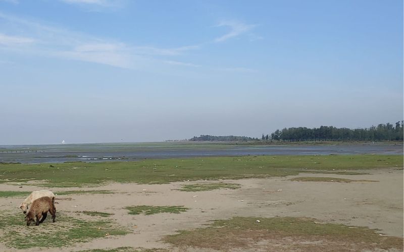 banshbaria sea beach view
