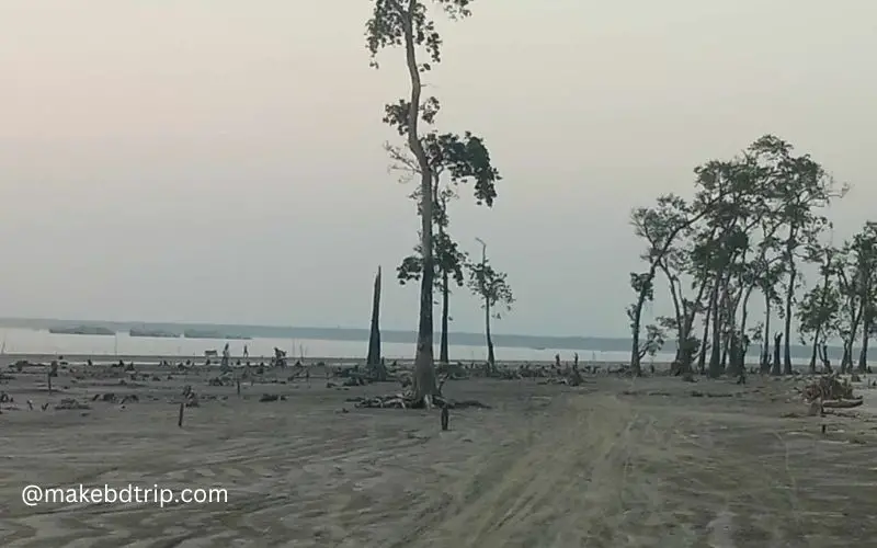 trees are at kuakata sea beach